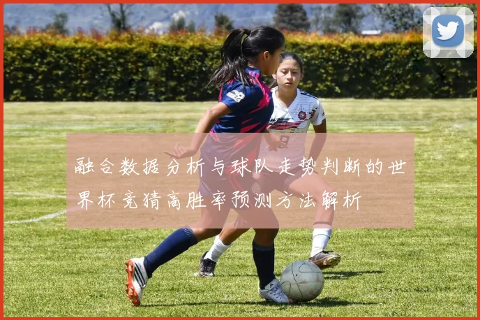 融合数据分析与球队走势判断的世界杯竞猜高胜率预测方法解析