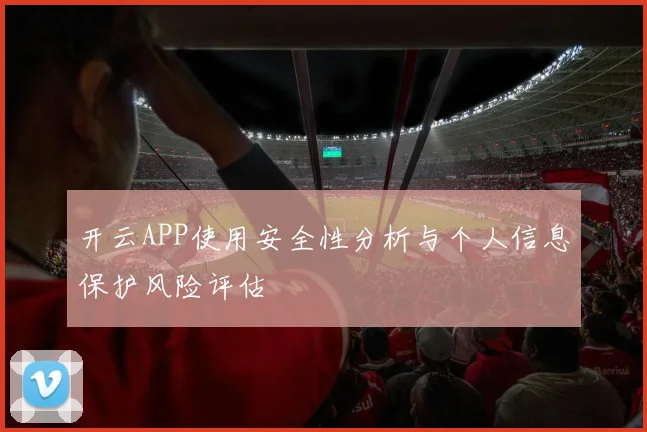 开云APP使用安全性分析与个人信息保护风险评估