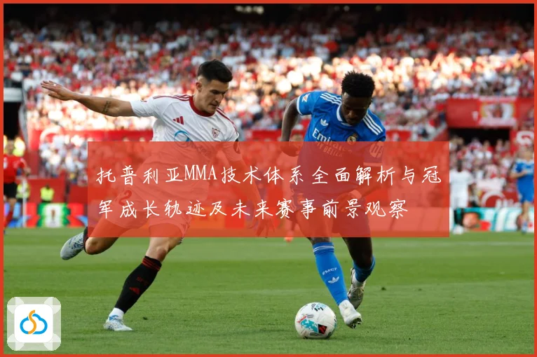 托普利亚MMA技术体系全面解析与冠军成长轨迹及未来赛事前景观察