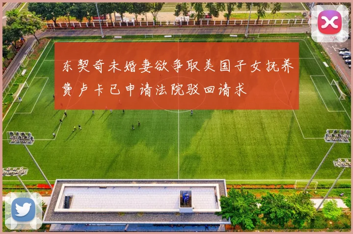 东契奇未婚妻欲争取美国子女抚养费卢卡已申请法院驳回请求