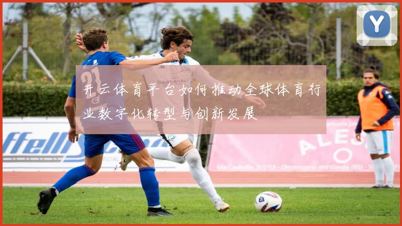 开云体育平台如何推动全球体育行业数字化转型与创新发展