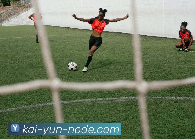 开云平台展示图