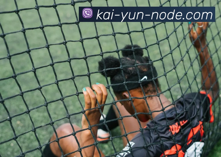 开云官网全站App